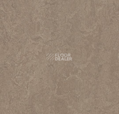 Линолеум Forbo Marmoleum Marbled Fresco 3246-324635 shrike фото 1 | FLOORDEALER